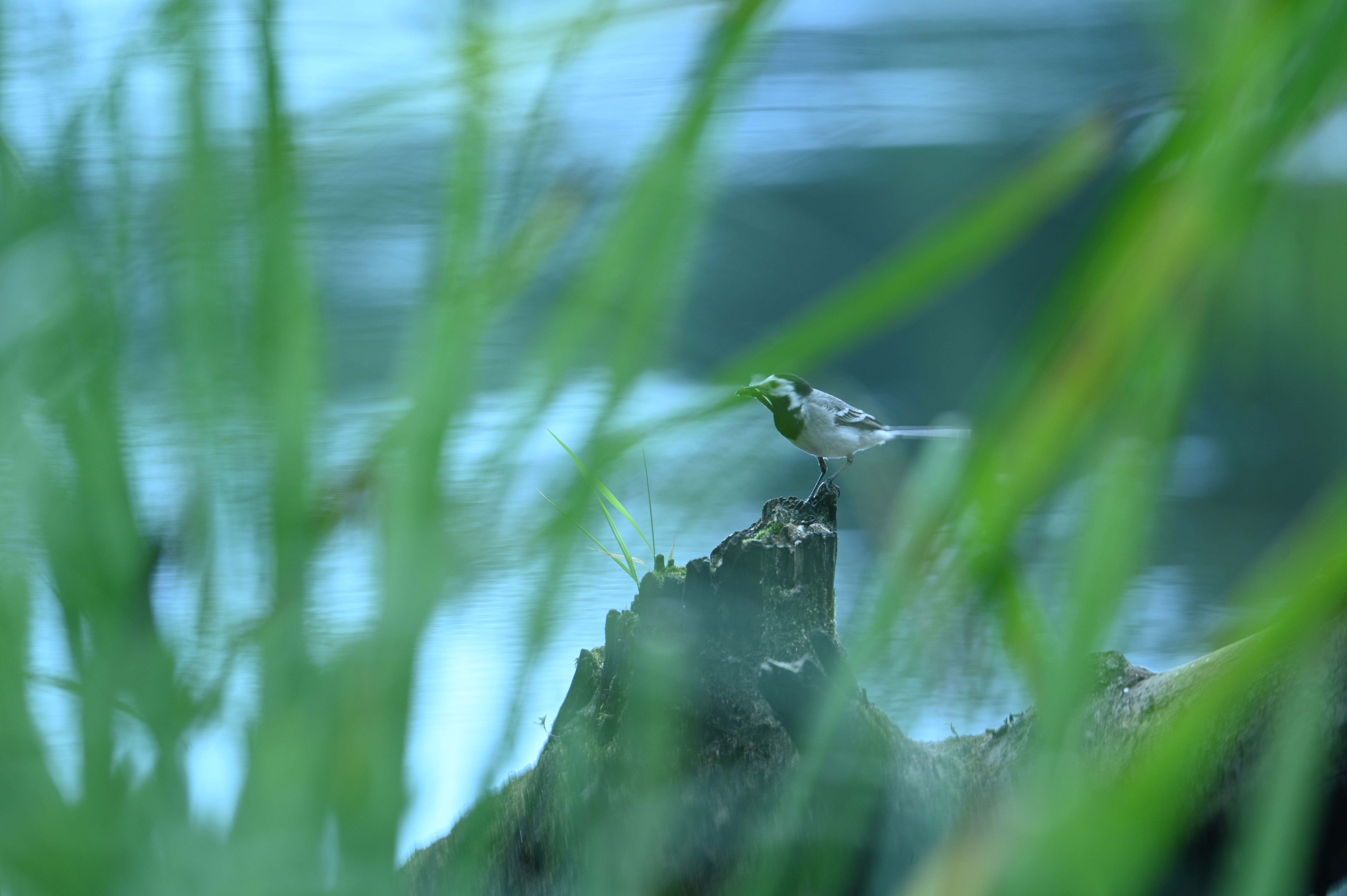 2025/07/09-14 - trip/DSC_0416.JPG